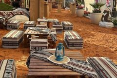 WhatsApp-Image-2025-05-13-at-01-08-18_f6c7a645-jpg-nggid0319